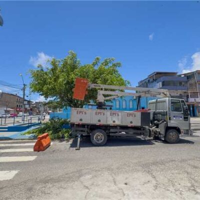 Poda de árvores no Malhado reforça ações da Prefeitura de Ilhéus com o cuidado urbano