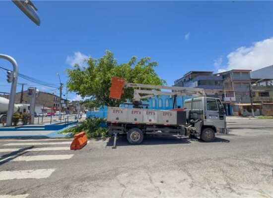 Poda de árvores no Malhado reforça ações da Prefeitura de Ilhéus com o cuidado urbano