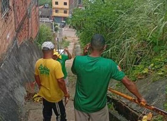 Limpeza e roçagem melhoram acessos no Alto do Coqueiro
