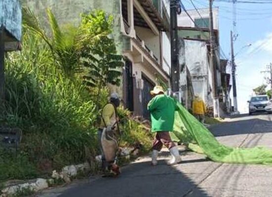 Prefeitura realiza serviço de roçagem no Alto da Conquista até a Ponte Lomanto Júnior