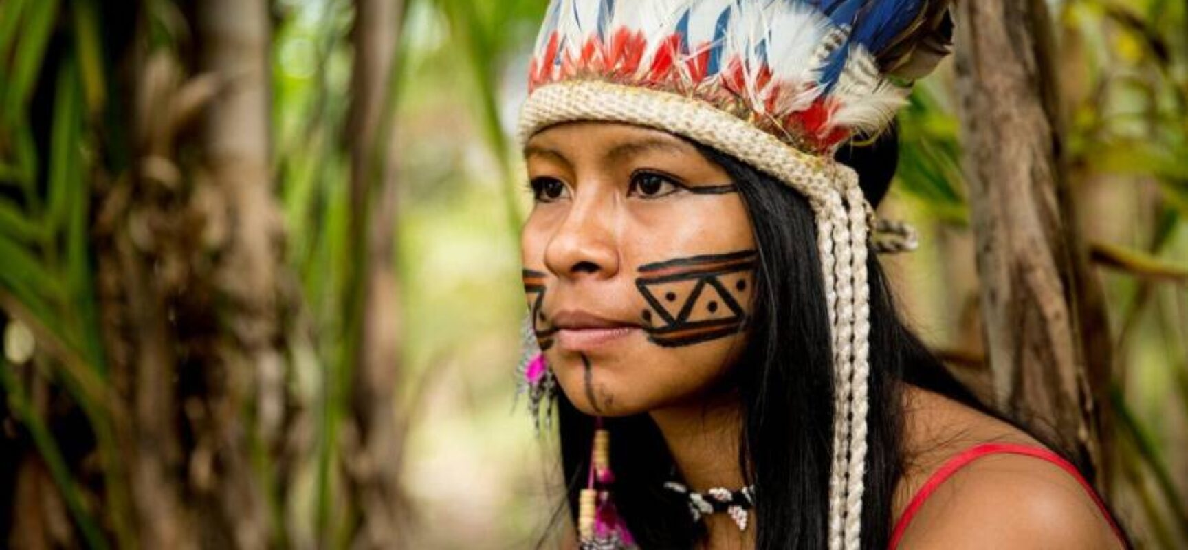 Câmara aprova projeto que cria a Universidade Federal Indígena