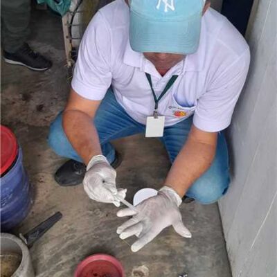 Ilhéus registra índice alarmante no primeiro LIRAa de 2026 e entra em estado de risco para dengue