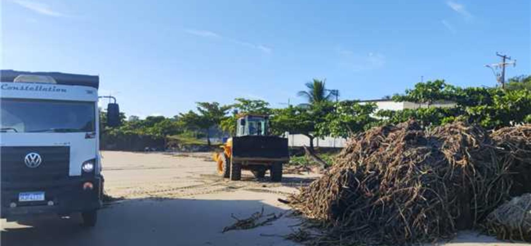 Prefeitura de Ilhéus intensifica limpeza das praias para retirada de baronesas