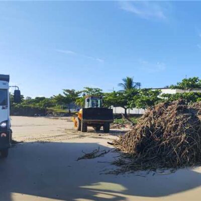Prefeitura de Ilhéus intensifica limpeza das praias para retirada de baronesas