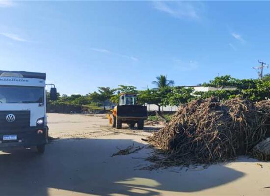 Prefeitura de Ilhéus intensifica limpeza das praias para retirada de baronesas