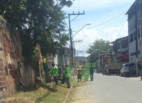 Prefeitura de Ilhéus realiza roçagem na Rua do Cano
