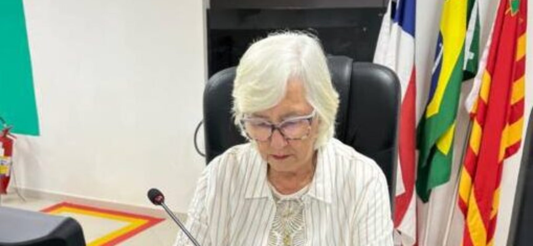 Vereadora Rúbia Carvalho exige correção cadastral dos distritos de Serrado e Pimenteira