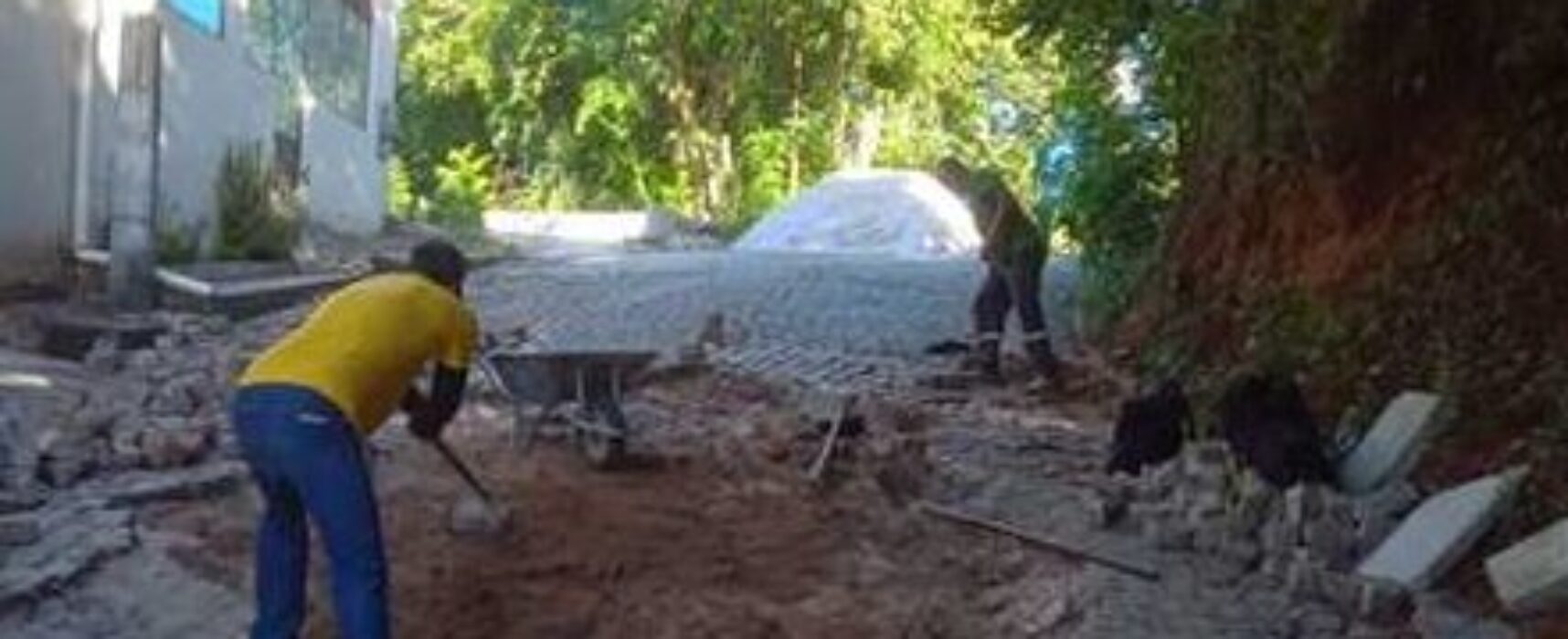 Prefeitura de Ilhéus inicia reassentamento de paralelos em via de Olivença