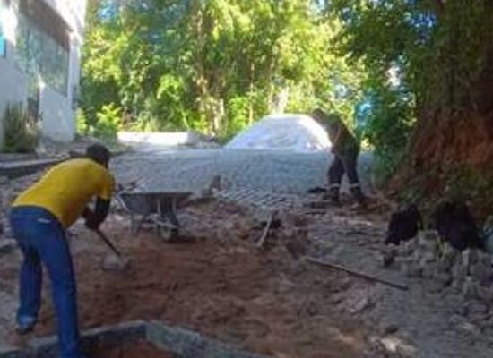 Prefeitura de Ilhéus inicia reassentamento de paralelos em via de Olivença