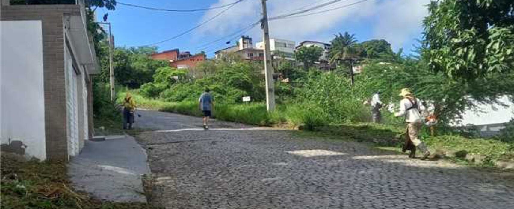 Prefeitura de Ilhéus realiza roçagem no Alto do Pacheco