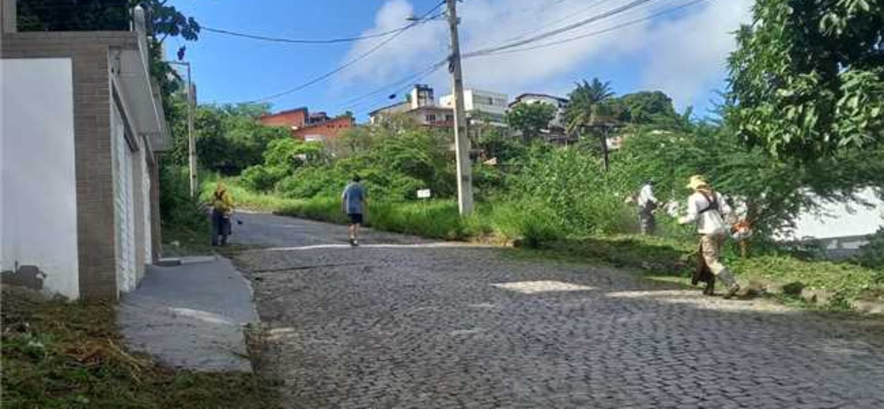 Prefeitura de Ilhéus realiza roçagem no Alto do Pacheco