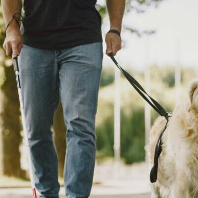 Câmara aprova projeto que garante acesso de cães de assistência a espaços públicos e privados em Salvador