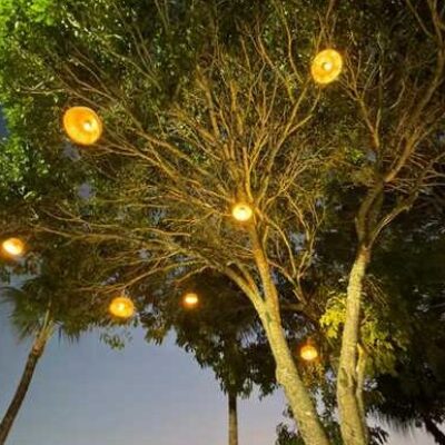 Ilhéus entrega iluminação cênica e revitalização da Praça da Sapetinga