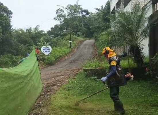 Prefeitura realiza serviços de roçagem e capinagem em Novo Ilhéus