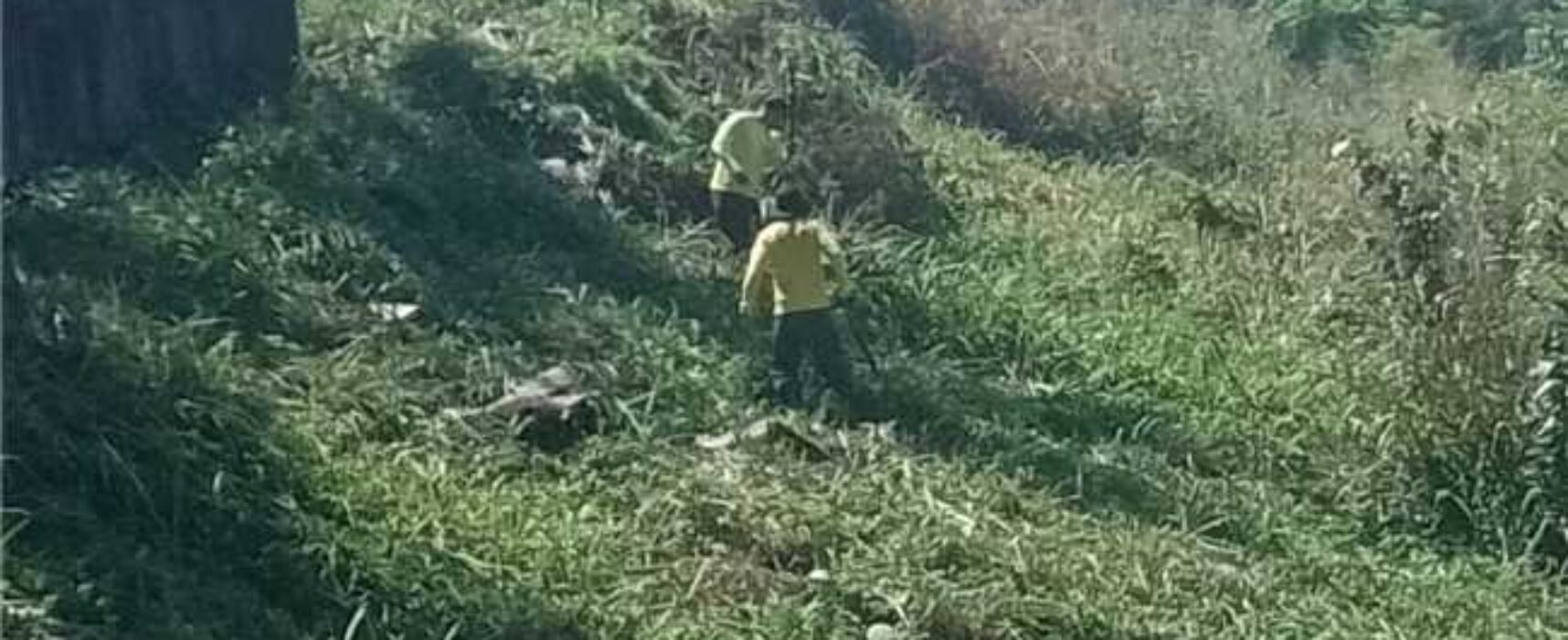Serviços de capinagem são intensificados em diferentes pontos de Ilhéus
