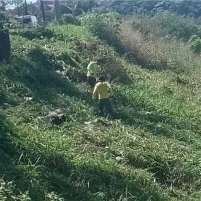 Serviços de capinagem são intensificados em diferentes pontos de Ilhéus