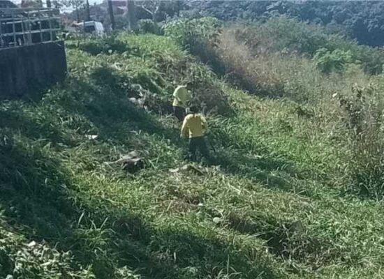 Serviços de capinagem são intensificados em diferentes pontos de Ilhéus