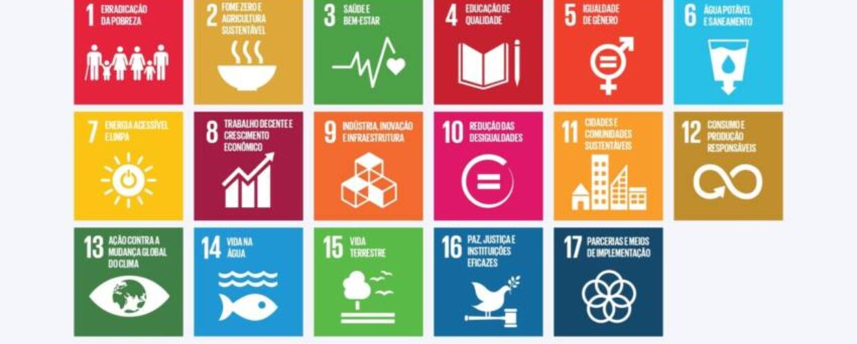 Do Plenário à Agenda 2030: julgamentos sobre pobreza, fome, saúde e educação levam a Constituição ao cotidiano