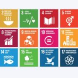 Do Plenário à Agenda 2030: julgamentos sobre pobreza, fome, saúde e educação levam a Constituição ao cotidiano