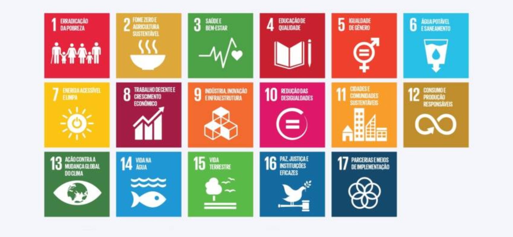 Do Plenário à Agenda 2030: julgamentos sobre pobreza, fome, saúde e educação levam a Constituição ao cotidiano