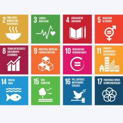 Do Plenário à Agenda 2030: julgamentos sobre pobreza, fome, saúde e educação levam a Constituição ao cotidiano