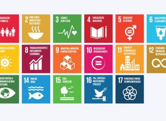Do Plenário à Agenda 2030: julgamentos sobre pobreza, fome, saúde e educação levam a Constituição ao cotidiano