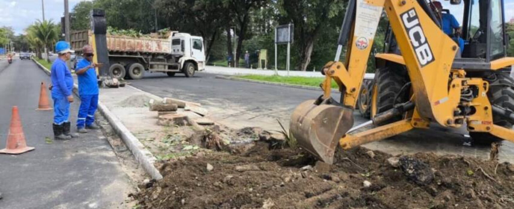 Prefeitura de Itabuna remove árvore com risco de queda na Avenida Aziz Maron