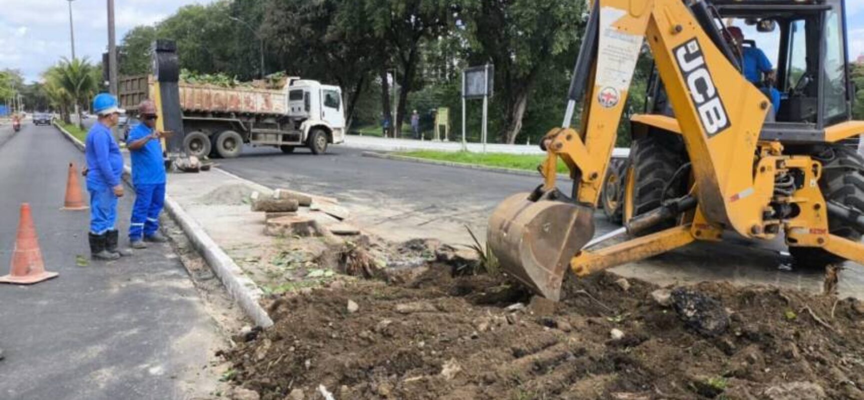 Prefeitura de Itabuna remove árvore com risco de queda na Avenida Aziz Maron