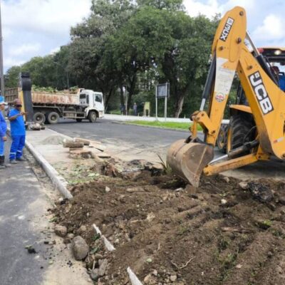 Prefeitura de Itabuna remove árvore com risco de queda na Avenida Aziz Maron