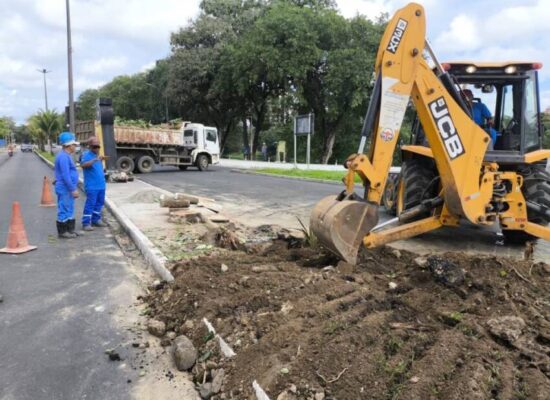 Prefeitura de Itabuna remove árvore com risco de queda na Avenida Aziz Maron