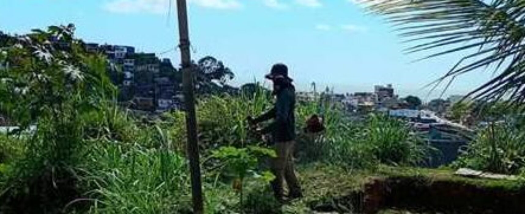 Limpeza e manutenção integram rotina de serviços urbanos em Ilhéus
