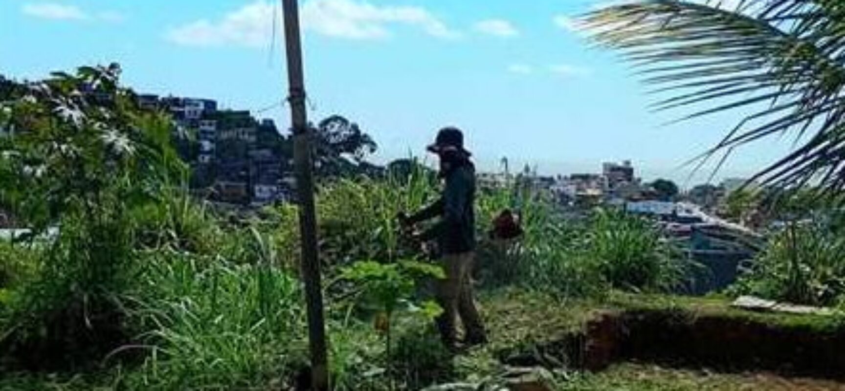 Limpeza e manutenção integram rotina de serviços urbanos em Ilhéus