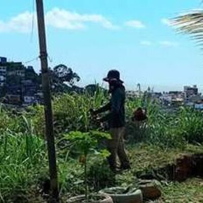 Limpeza e manutenção integram rotina de serviços urbanos em Ilhéus