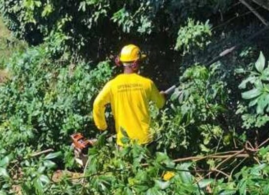 Serviços Urbanos realiza mutirão de limpeza no Teresópolis para a Festa de Nossa Senhora das Vitória