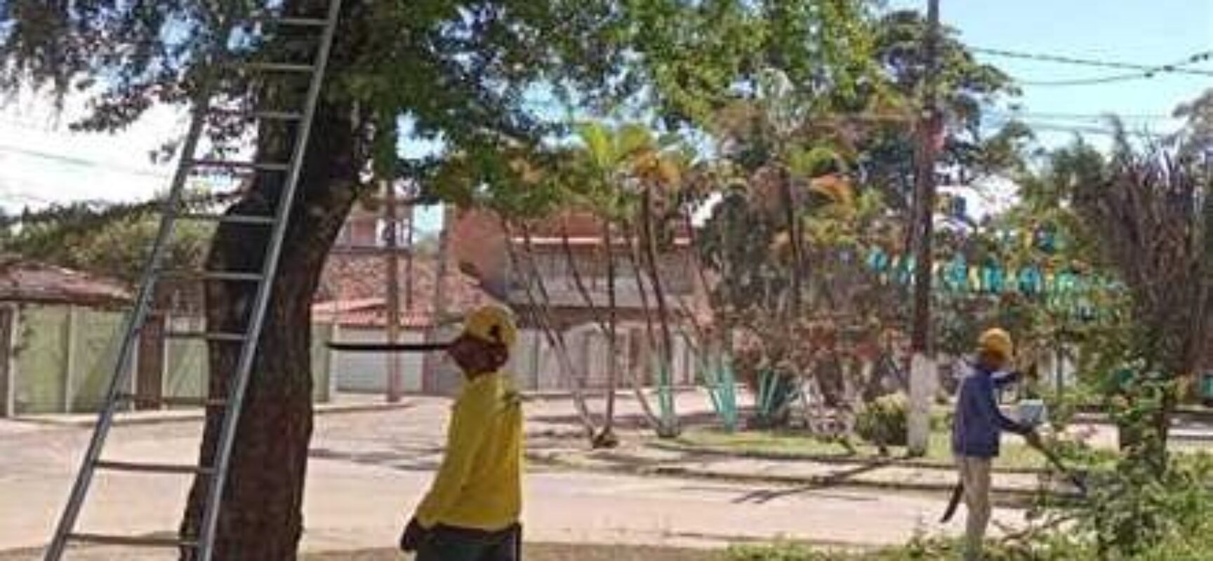 Prefeitura realiza poda de árvores na Praça Valmor Rosa, no Santo Antônio de Pádua