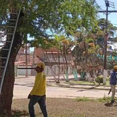 Prefeitura realiza poda de árvores na Praça Valmor Rosa, no Santo Antônio de Pádua