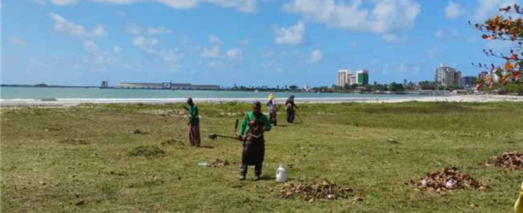 Roçagem e capinagem reforçam cuidados com espaços públicos de Ilhéus