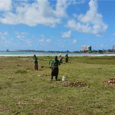 Roçagem e capinagem reforçam cuidados com espaços públicos de Ilhéus