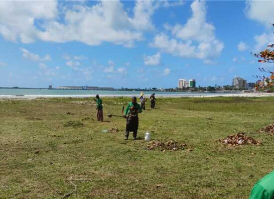 Roçagem e capinagem reforçam cuidados com espaços públicos de Ilhéus