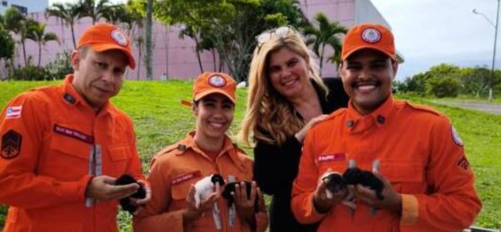 ILHÉUS: Ação do 4º BBM/2ªCIA resgata filhotes de cachorros embaixo de Conteinêr