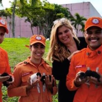 ILHÉUS: Ação do 4º BBM/2ªCIA resgata filhotes de cachorros embaixo de Conteinêr