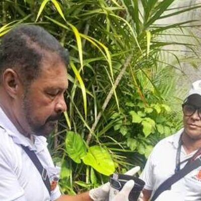 Terceiro LIRAa de 2026 vai identificar focos do Aedes aegypti em Ilhéus
