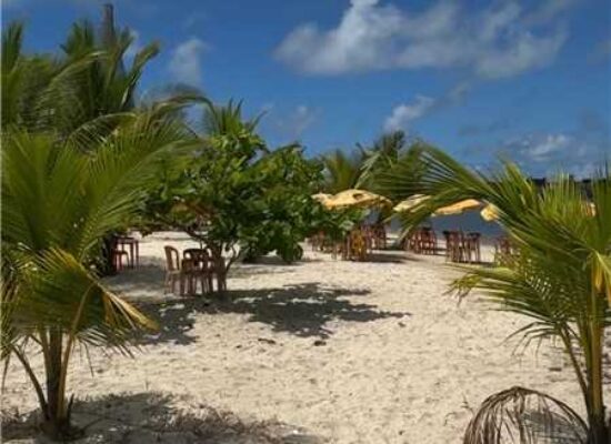 Praia do Cristo recebe ação de limpeza neste sábado