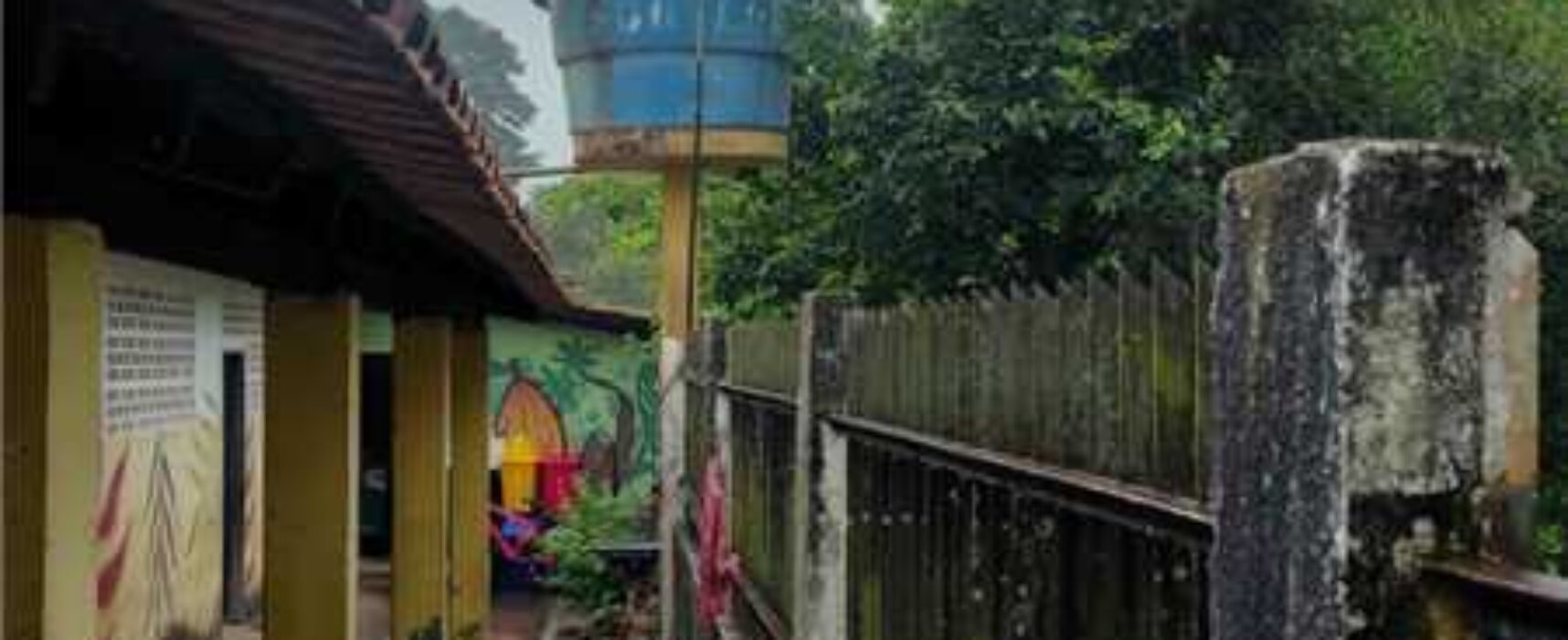Escola da comunidade de Juerana recebe serviço de poda