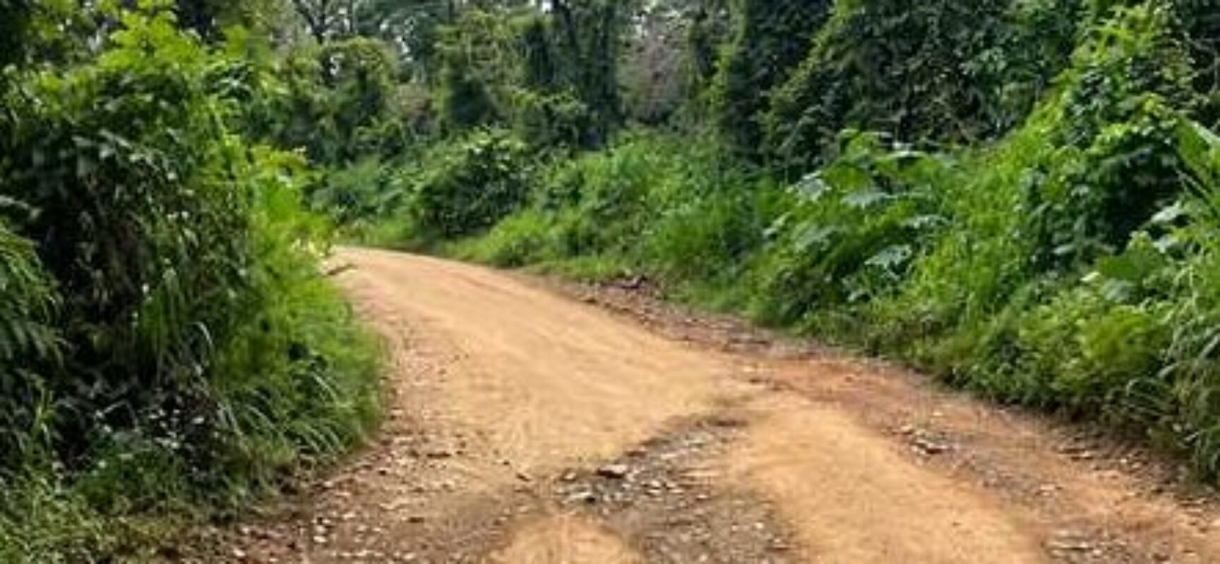 Prefeitura esclarece situação de estrada na Carobeira