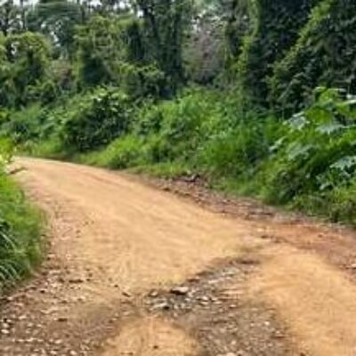 Prefeitura esclarece situação de estrada na Carobeira
