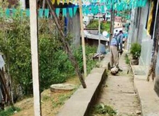 Roçagem e capinagem são realizadas em ruas do Alto do Amparo