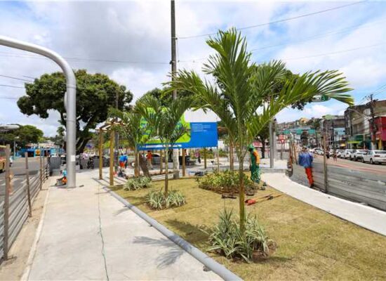 Prefeitura de Ilhéus entrega requalificação do canteiro central da Praça Cairu nesta sexta-feira