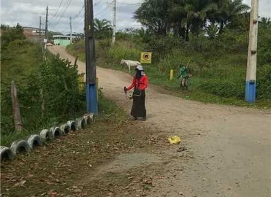 Roçagem e capinagem beneficiam diversos pontos de Ilhéus